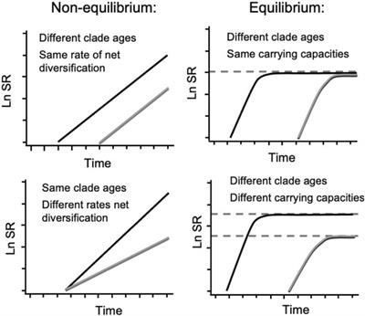 Landscape Evolution as a Diversification Driver in Freshwater Fishes